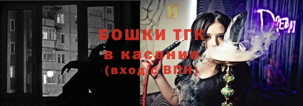 молекула духа Аркадак