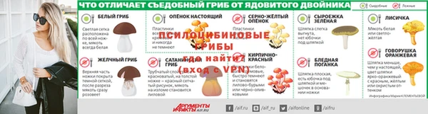 стафф Арсеньев