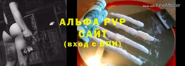 стафф Арсеньев