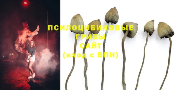 стафф Арсеньев