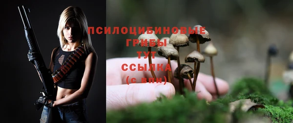 стафф Арсеньев
