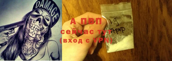 стафф Арсеньев
