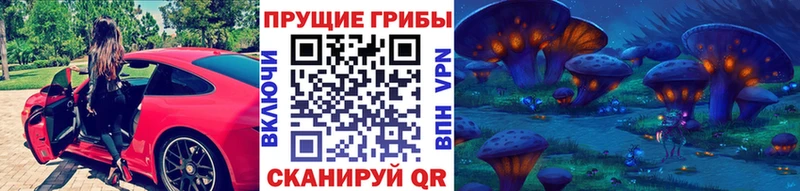 Галлюциногенные грибы Psilocybine cubensis  Арсеньев 